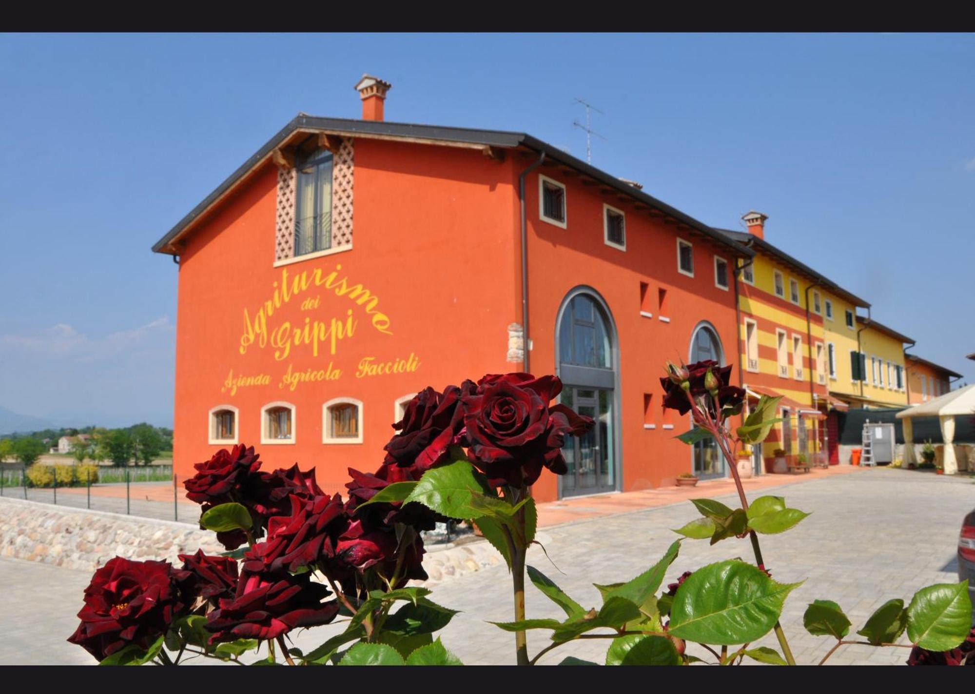 Agriturismo Dei Grippi Sona Ngoại thất bức ảnh